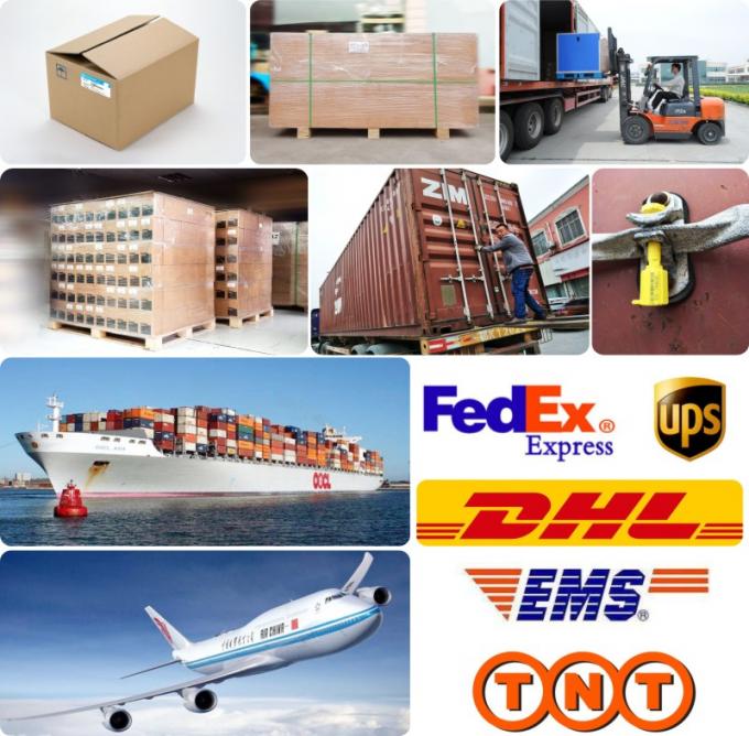 DE08 D1146 Cylinder Head Gasket for Excavator Bus Truck 65.03901-0070 400603-00119 65.03901-0058 18