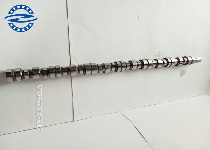 High performance Cummins NT855 diesel Engine Parts camshaft 3049024