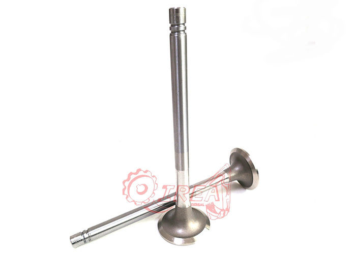 NT855 NTA855 Engine Spare Parts Exhaust Valve 3040830