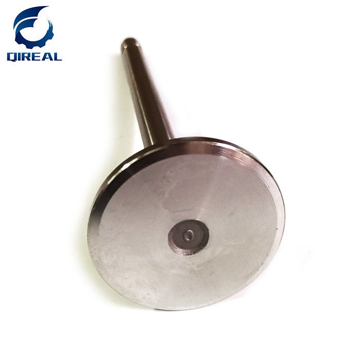 K19 engine intake valve 207241